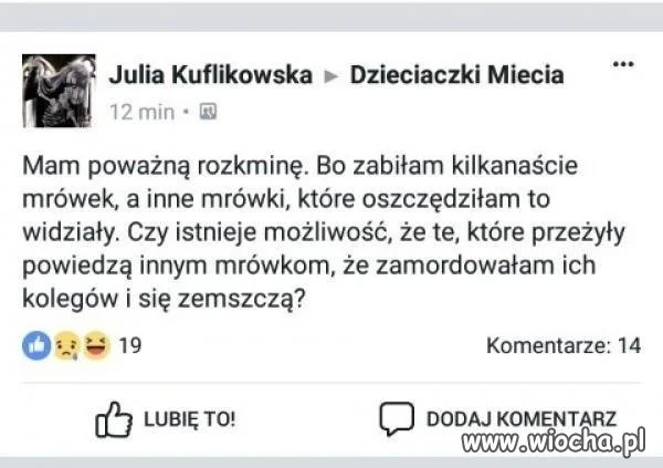 Poważna rozkmina