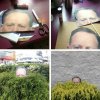 Trolololo