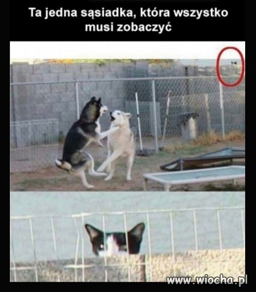 Mniej więcej