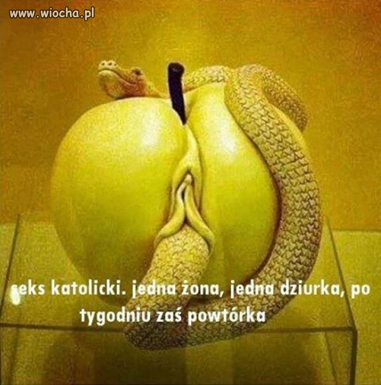 Fakt...