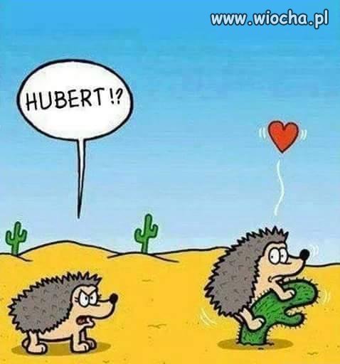 Miłość