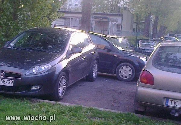 Mistrzu parkowania