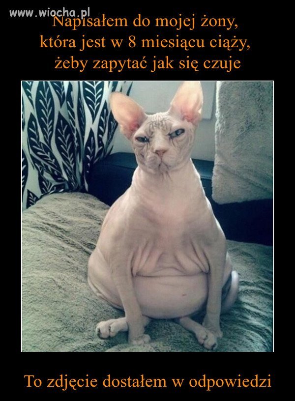 Tylko napisałem 