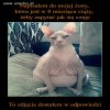Tylko napisałem 