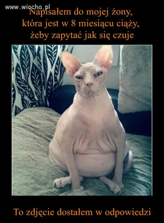 Tylko napisałem 