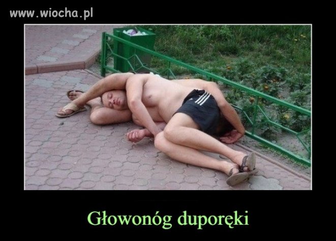 Nowy gatunek