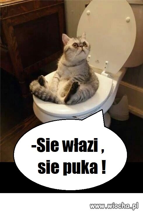 Kultura musi być...