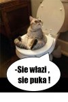 Kultura musi być...