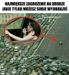 Zagrożenie na drodze.