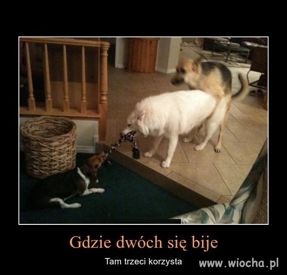 Taki mały przykład