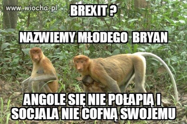 Trzeba myśleć, jak się nie dać z wyspy wyrzucić 