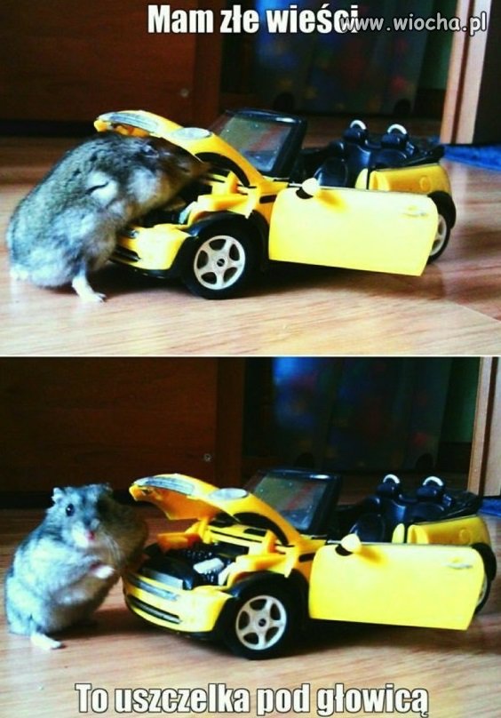 Świetny mechanik