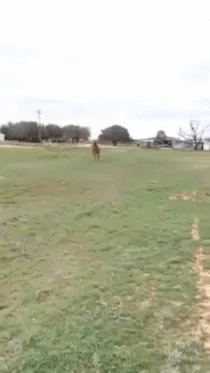 Uauuu...