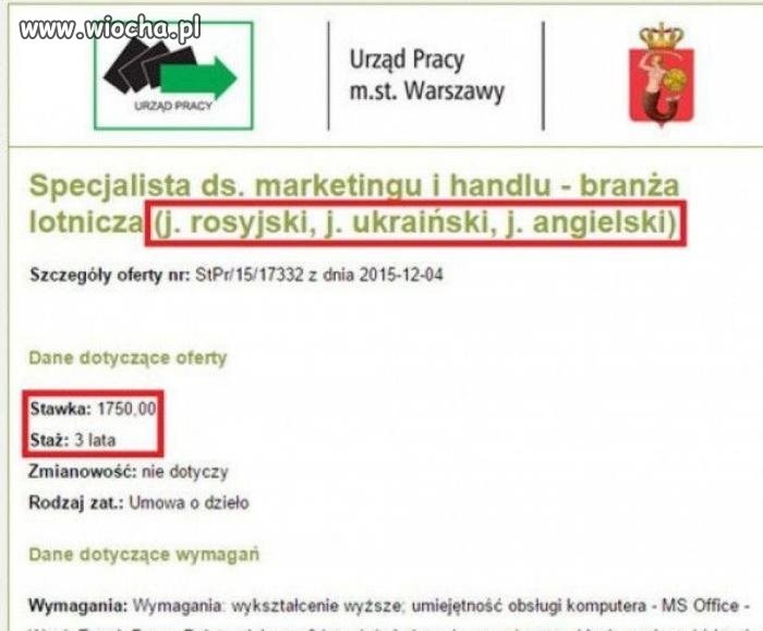 Idealna praca
