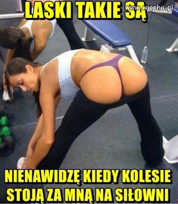 Logika lasek...