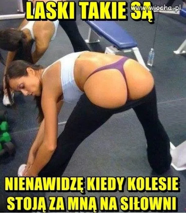 Logika lasek...