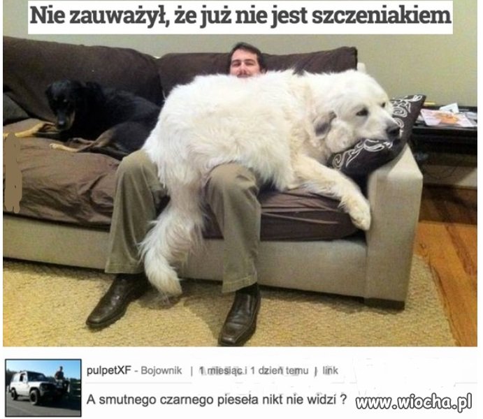 No ja nie widziałem:)