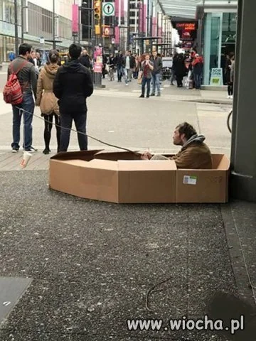 Rybki 
