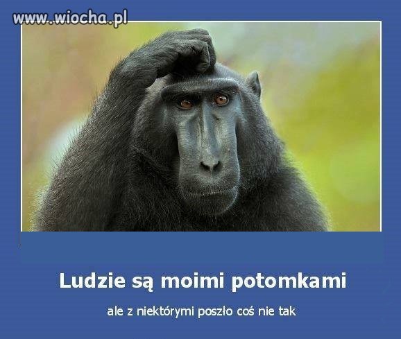 Nic dodać 