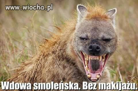 Wdowy