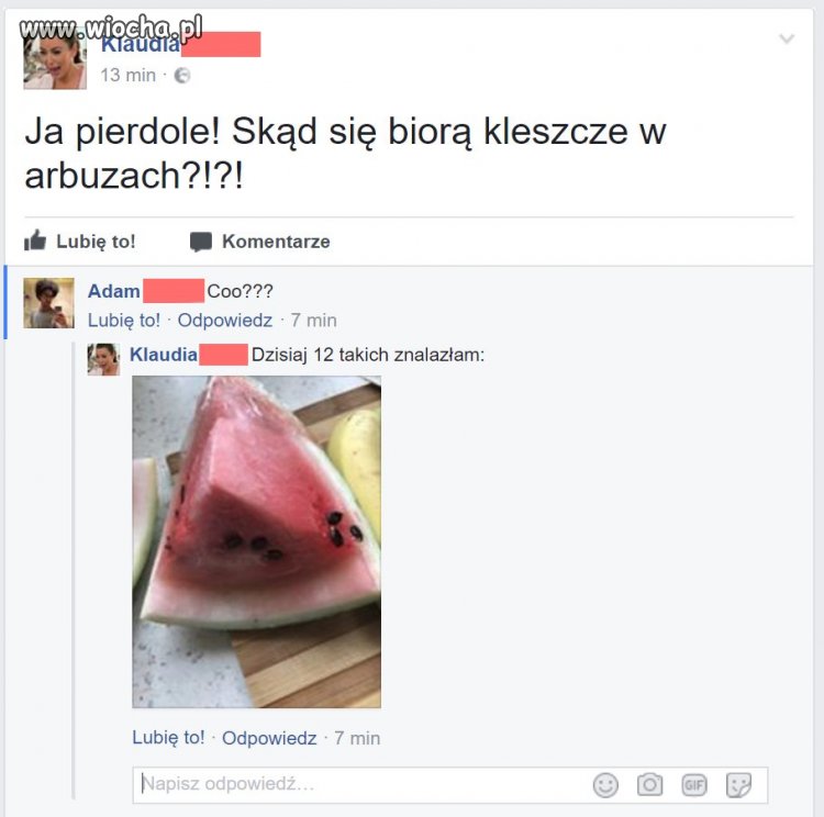 Kleszcze