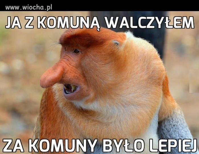 To jak było w końcu?