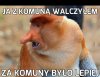 To jak było w końcu?