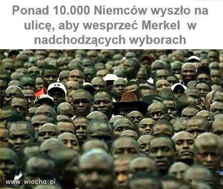 Mają rozmach, skurw...!
