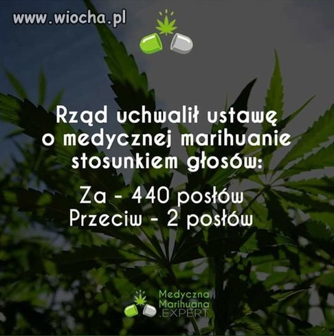 Ciekawe kto