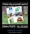  Zgadzam się. 