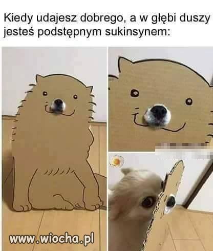 Nie oceniaj 