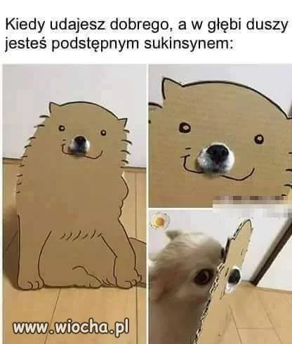 Nie oceniaj 