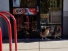 Protest przed restauracją KFC