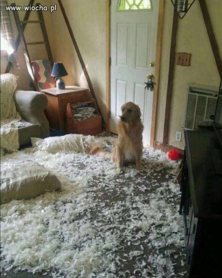 Ale kto ??