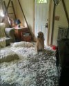 Ale kto ??