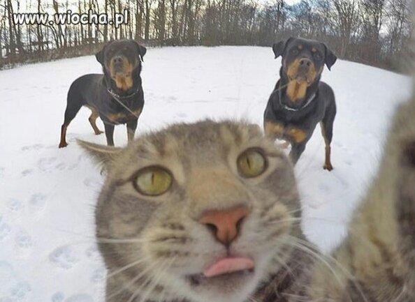 Ostatnie selfie...