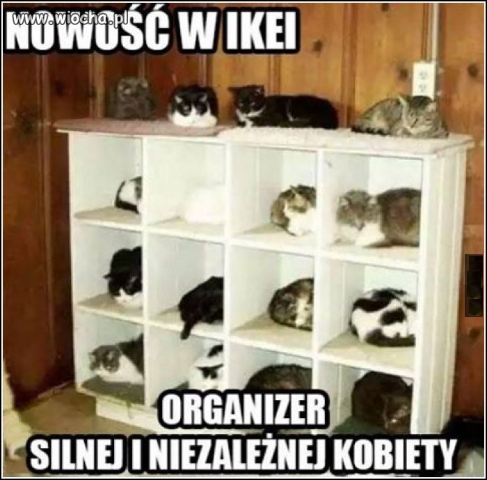 Nowość