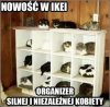Nowość