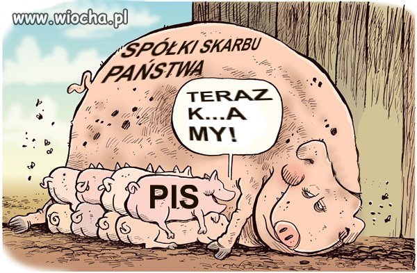 Tymczasem w spółkach państwowych