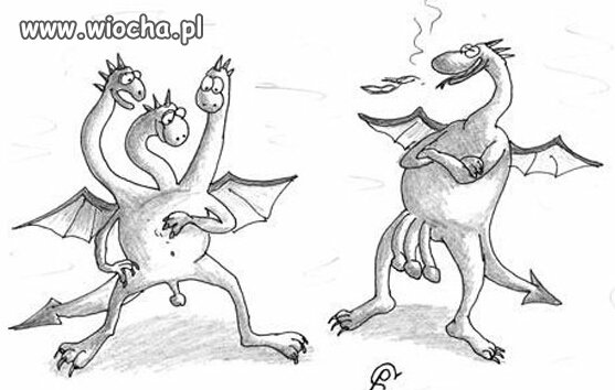 Kraków ma problem.