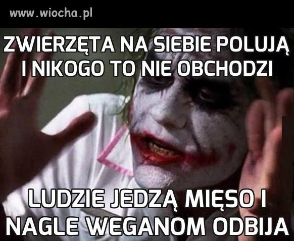 Bez sensu