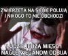 Bez sensu