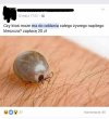 Ciekawe, co knuje