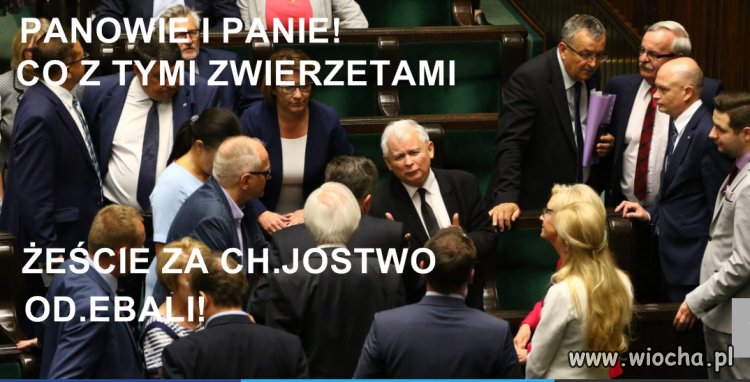 Mina Patryka bezcenna