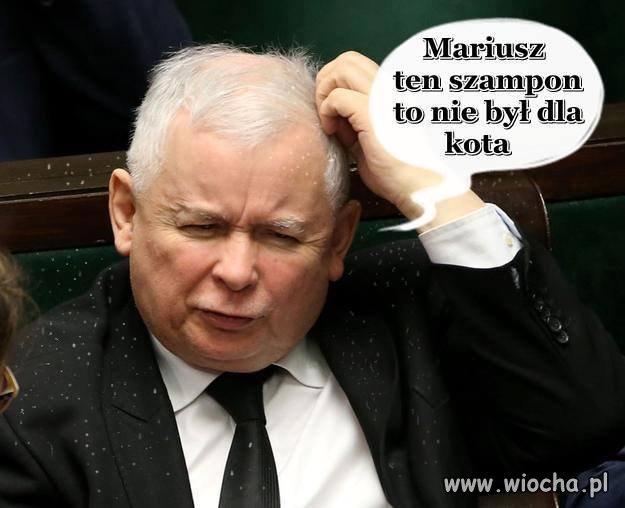 Pomylił się?