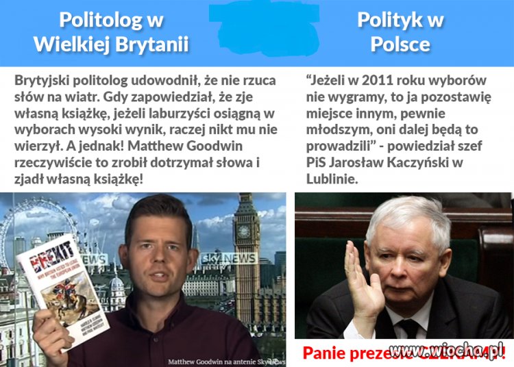 Politolog