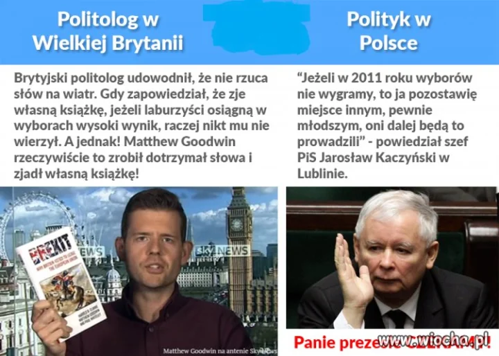 Politolog