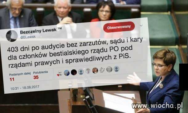 Krowa która 