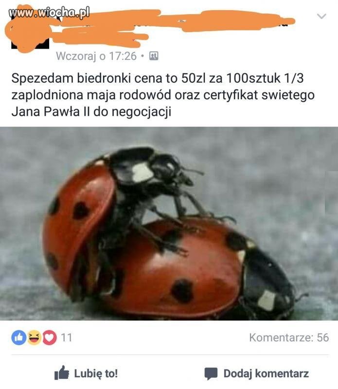 Tymczasem na Facebooku...