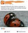 Tymczasem na Facebooku...